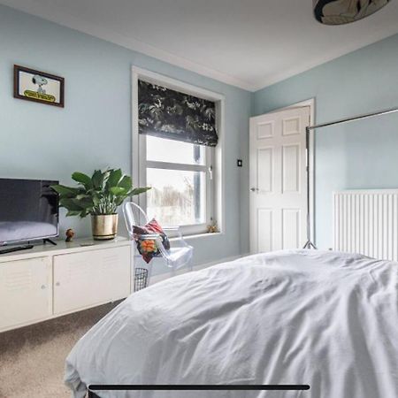 Attractive Comfortable Room In Friendly House Гастингс Экстерьер фото
