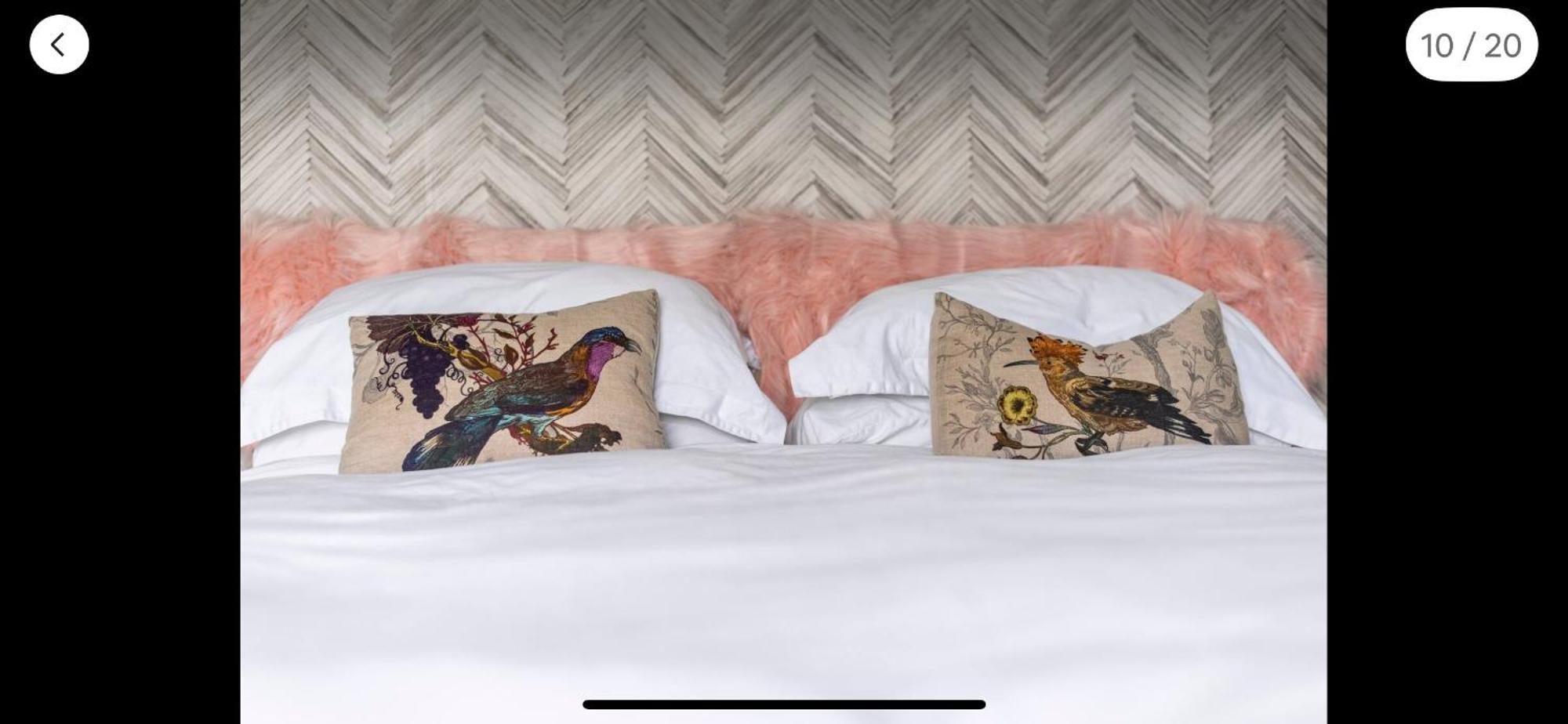 Attractive Comfortable Room In Friendly House Гастингс Экстерьер фото